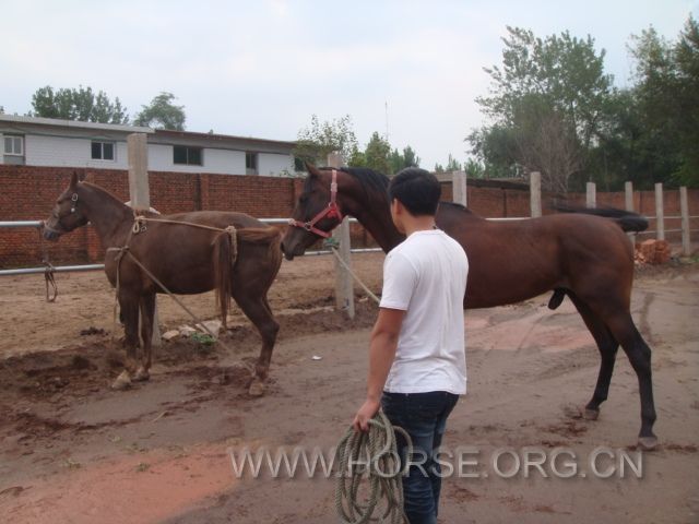 DSC03710.JPG