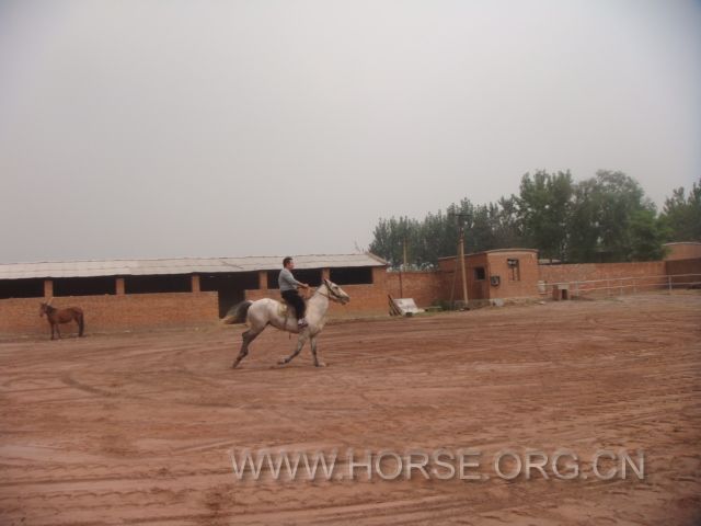 DSC03694.JPG