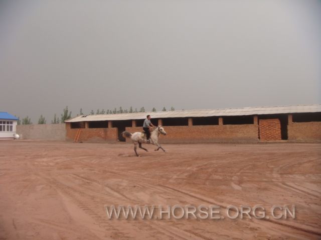 DSC03690.JPG