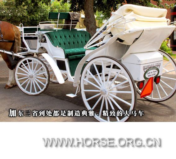 马车图片.jpg