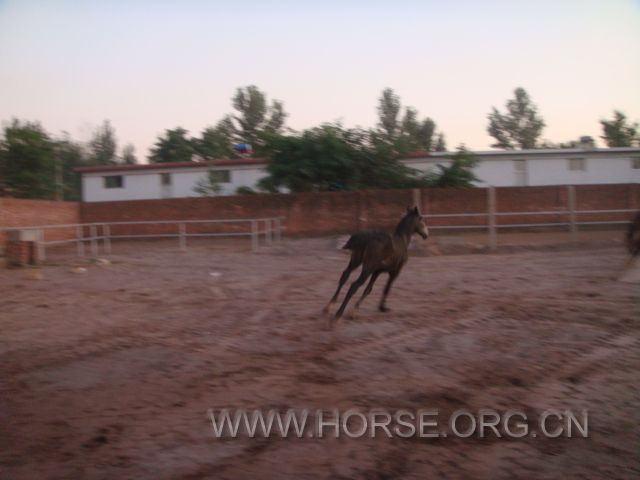 DSC03736.JPG