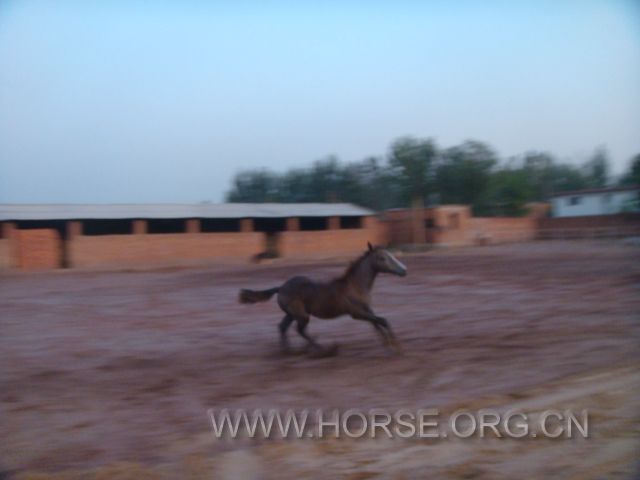 DSC03746.JPG