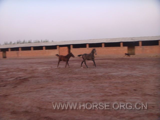 DSC03744.JPG