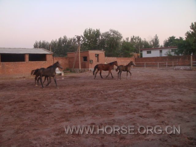 DSC03741.JPG