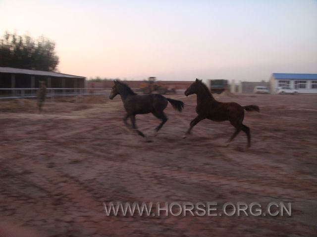 DSC03737.JPG