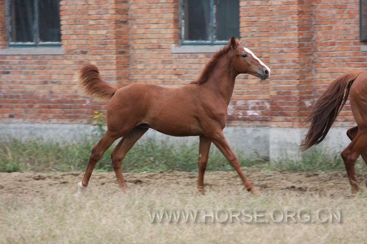 IMG_6114_nEO_IMG.jpg