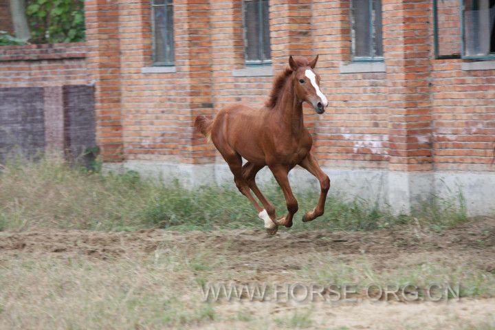 IMG_6145_nEO_IMG.jpg