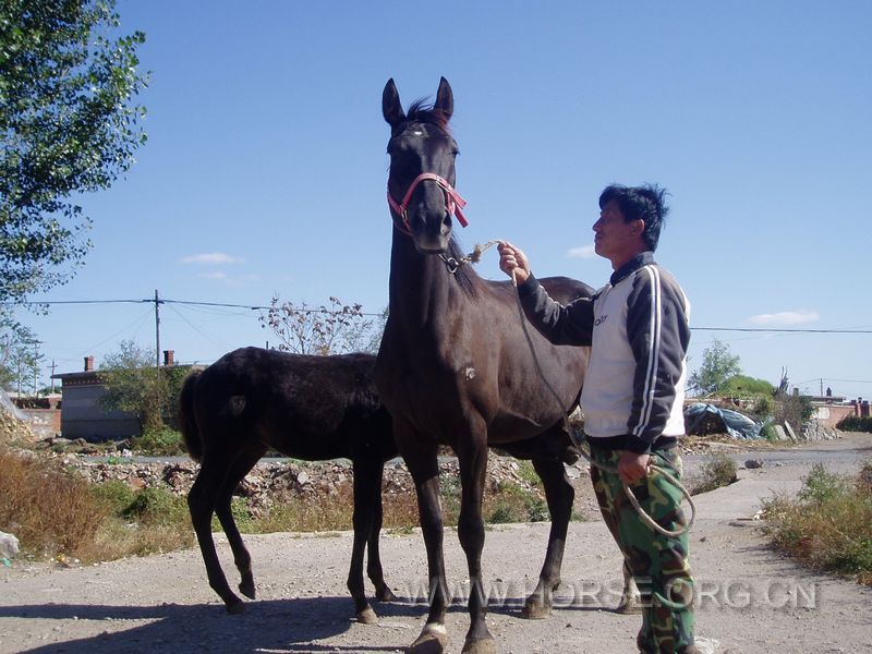 P1010327.JPG