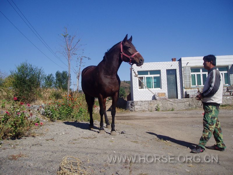P1010289.JPG