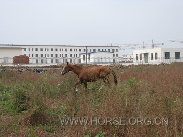 IMG_1820.JPG