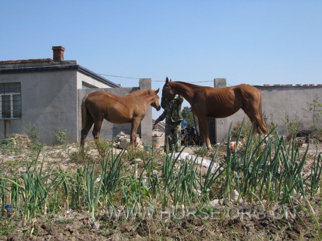 IMG_1743.JPG