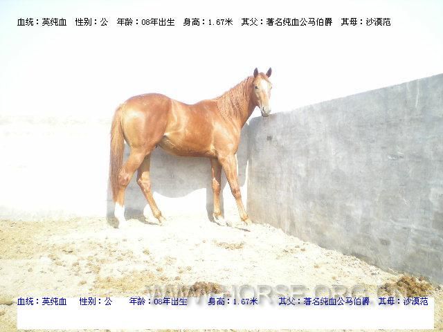 DSCN2569.JPG