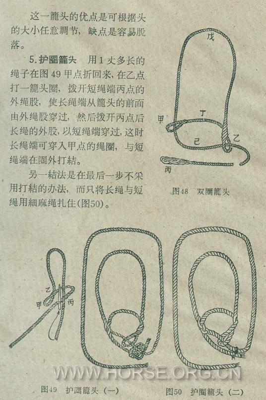 35.JPG