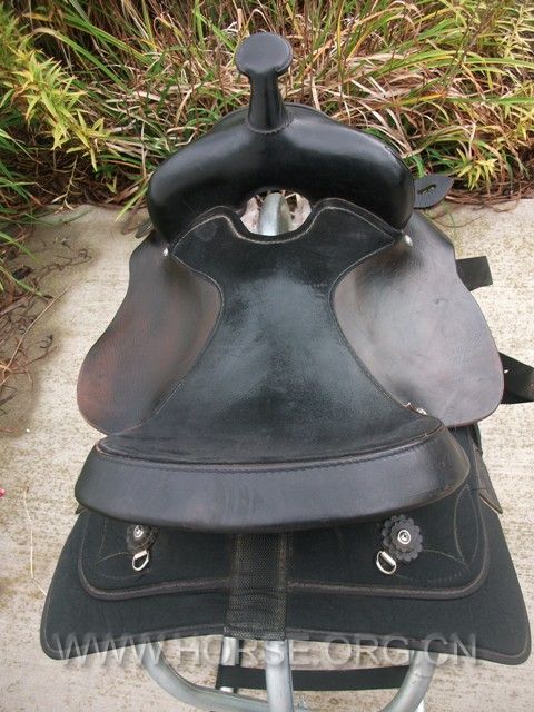 DSCF7022.jpg