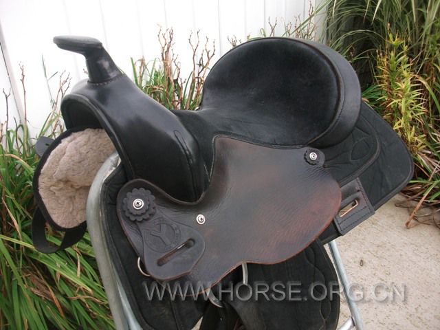 DSCF7024.jpg