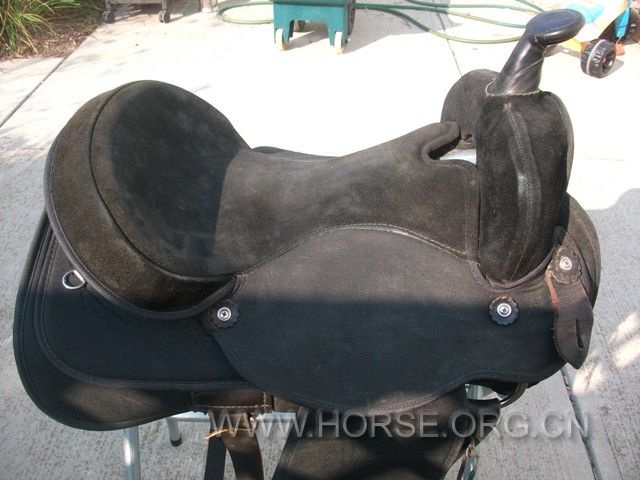 DSCF6995.jpg