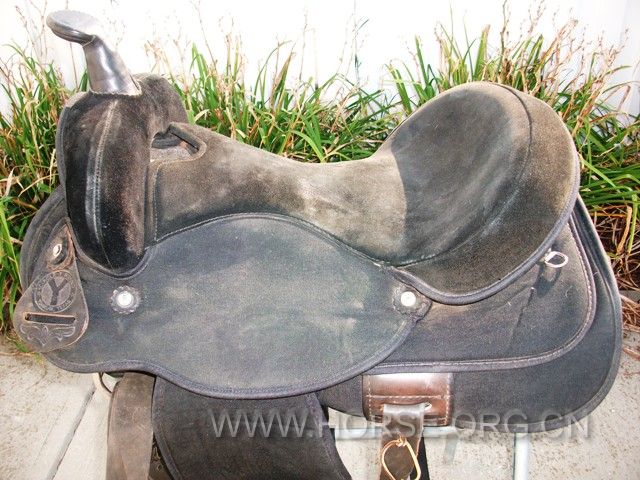 DSCF6993.jpg