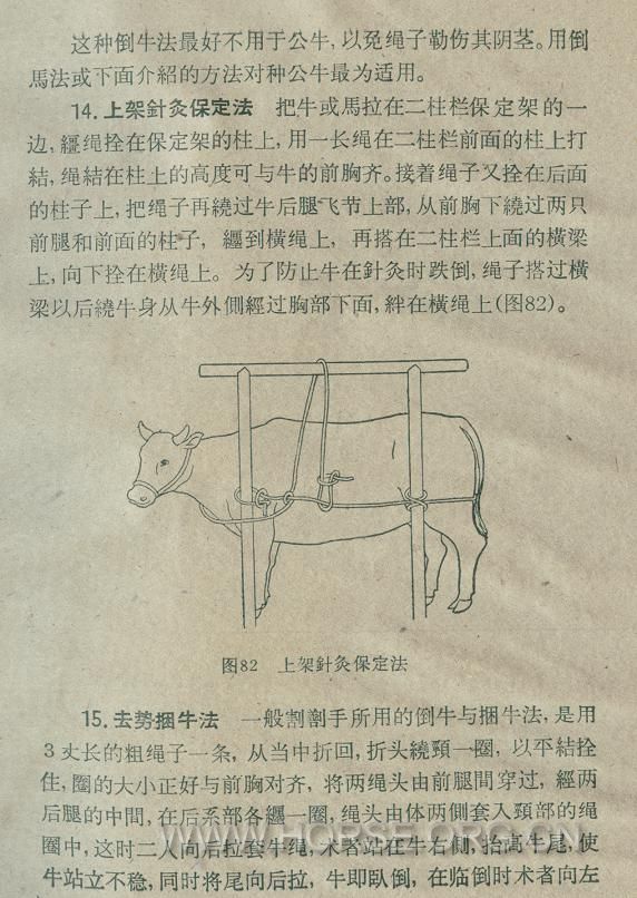 55.JPG