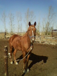 IMG0259A.jpg