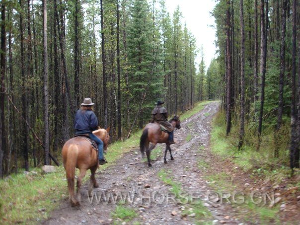 alberta hacking (9).jpg