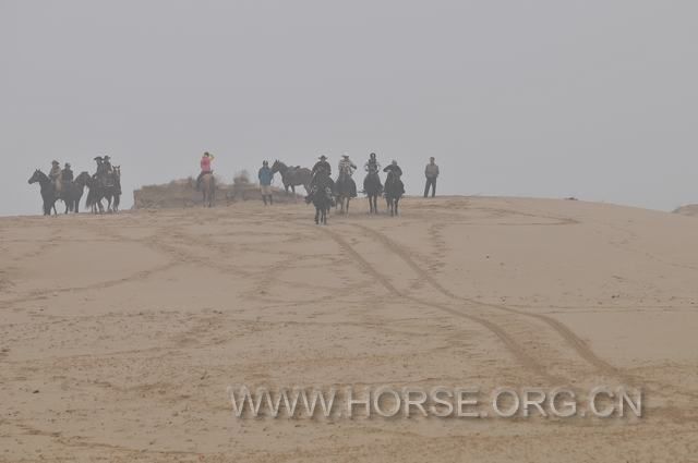 DSC_4866.JPG