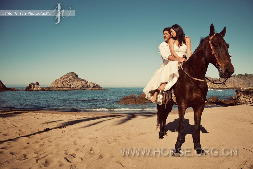 las-vegas-horseback-weddings-2.jpg