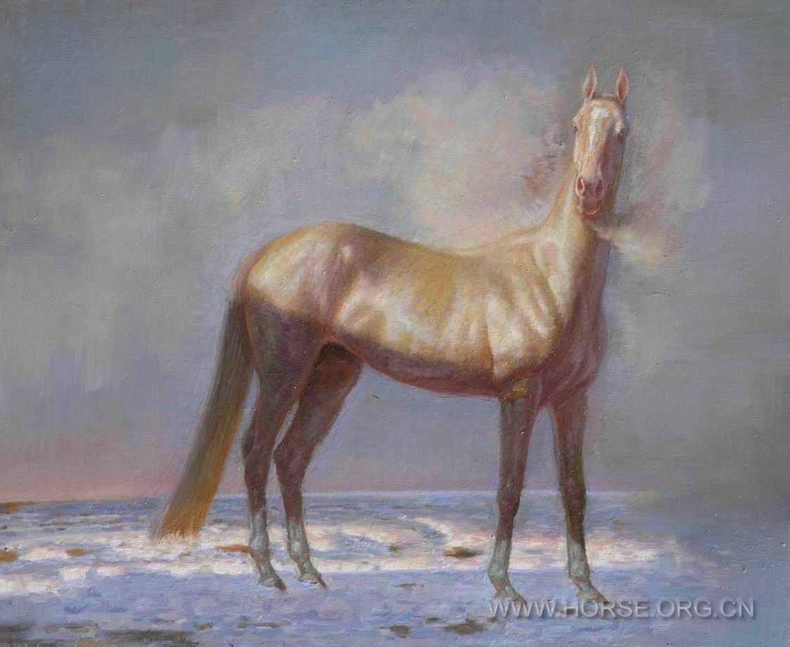 油画《意象中的马NO18》61X50CM。2011.02.05DSC_6619.JPG