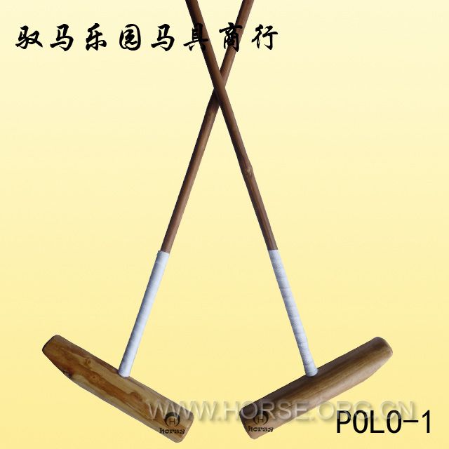 POLO-1.jpg