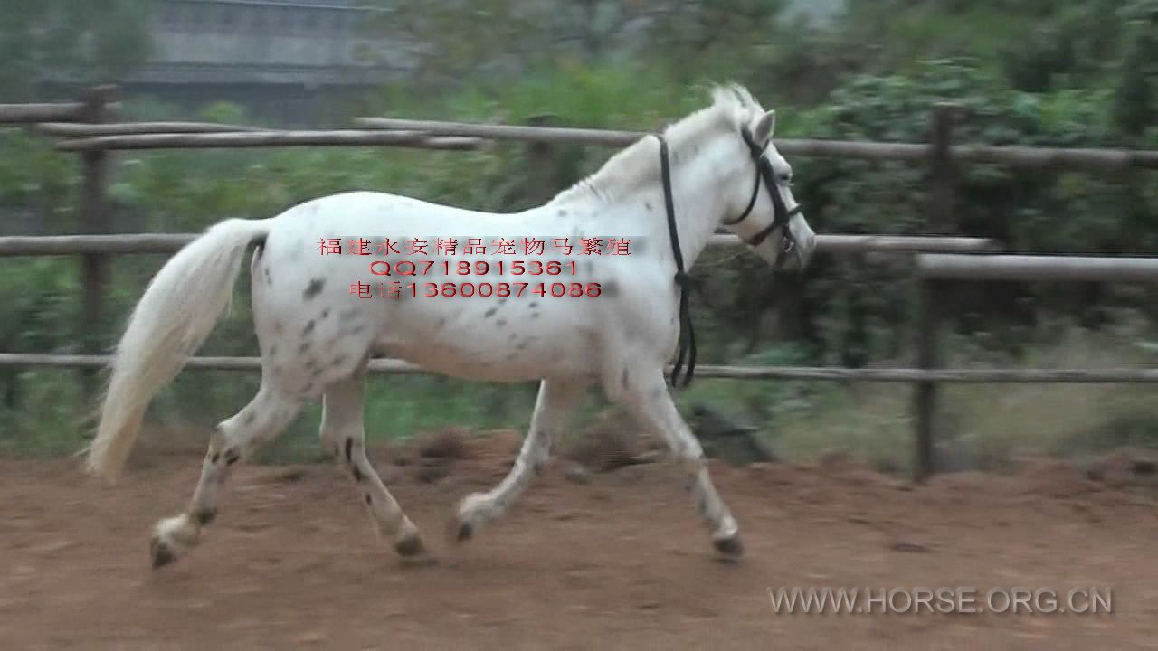 a.jpg