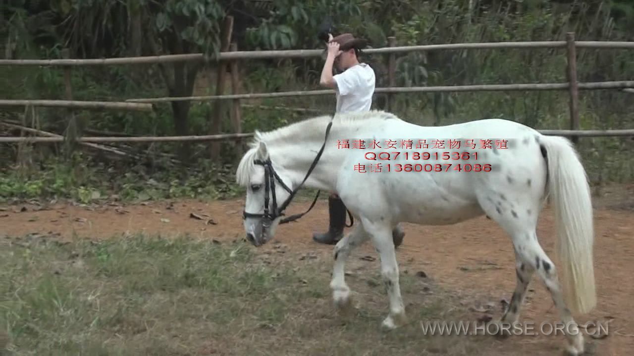 E.jpg