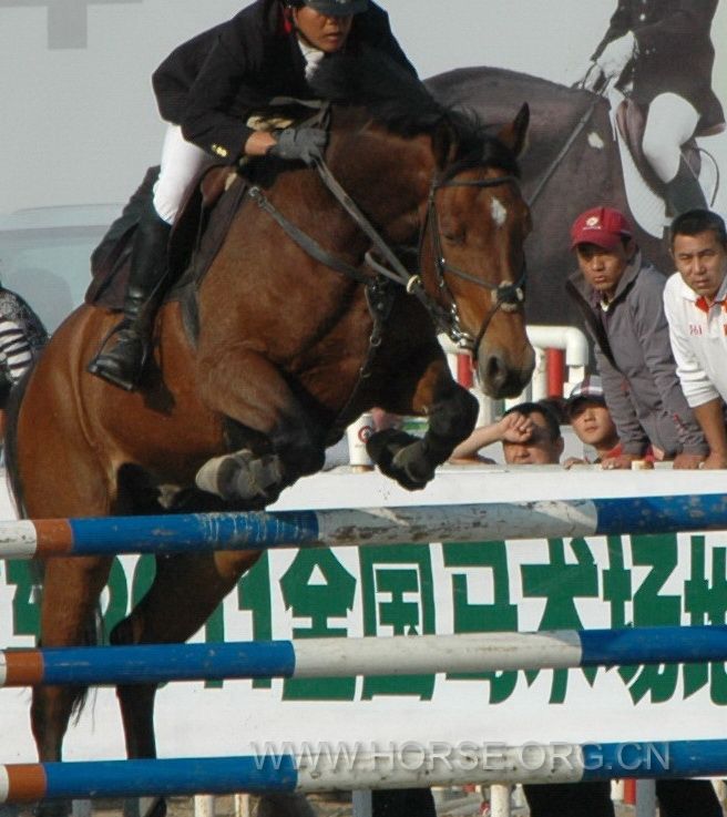 锦标赛