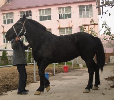 未命名7.jpg