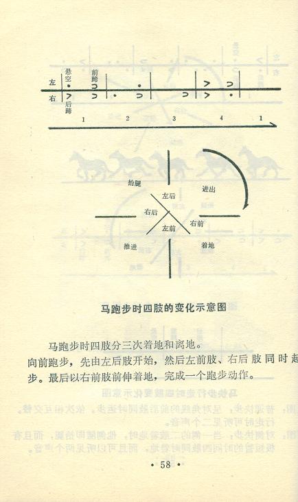 58.JPG