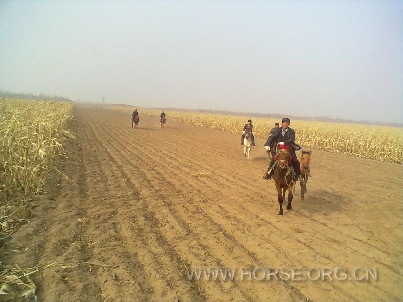 20111030090_001.jpg