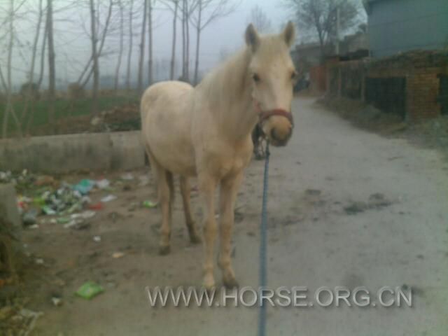 201111261158.jpg