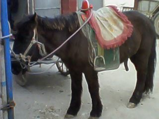 251111-1603.jpg