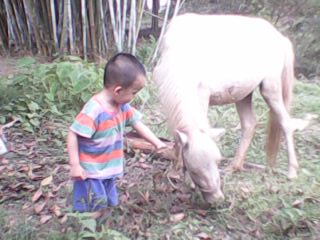 IMG0236A.jpg