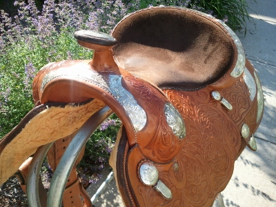 35a0711b (400x300).jpg