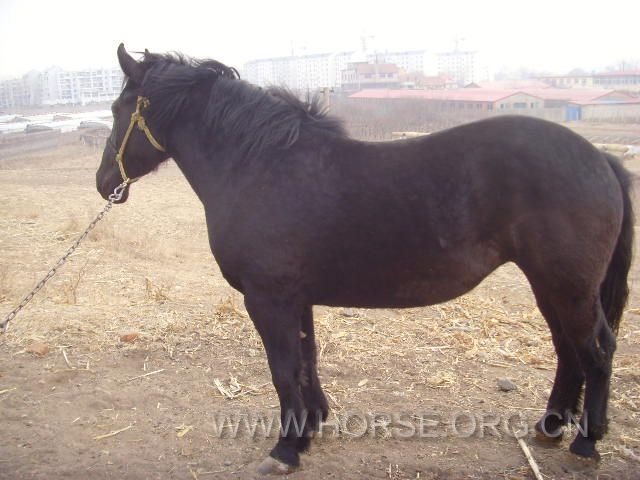 SNV33949.JPG