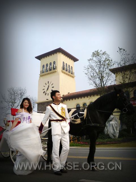 P1030877.jpg