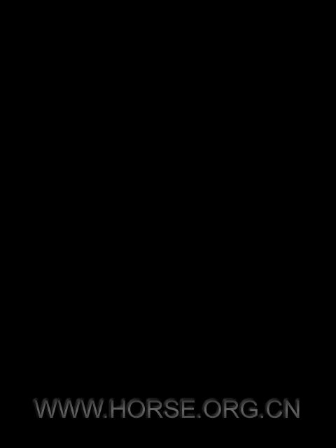 P1030933.jpg