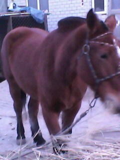 IMG0022A.jpg