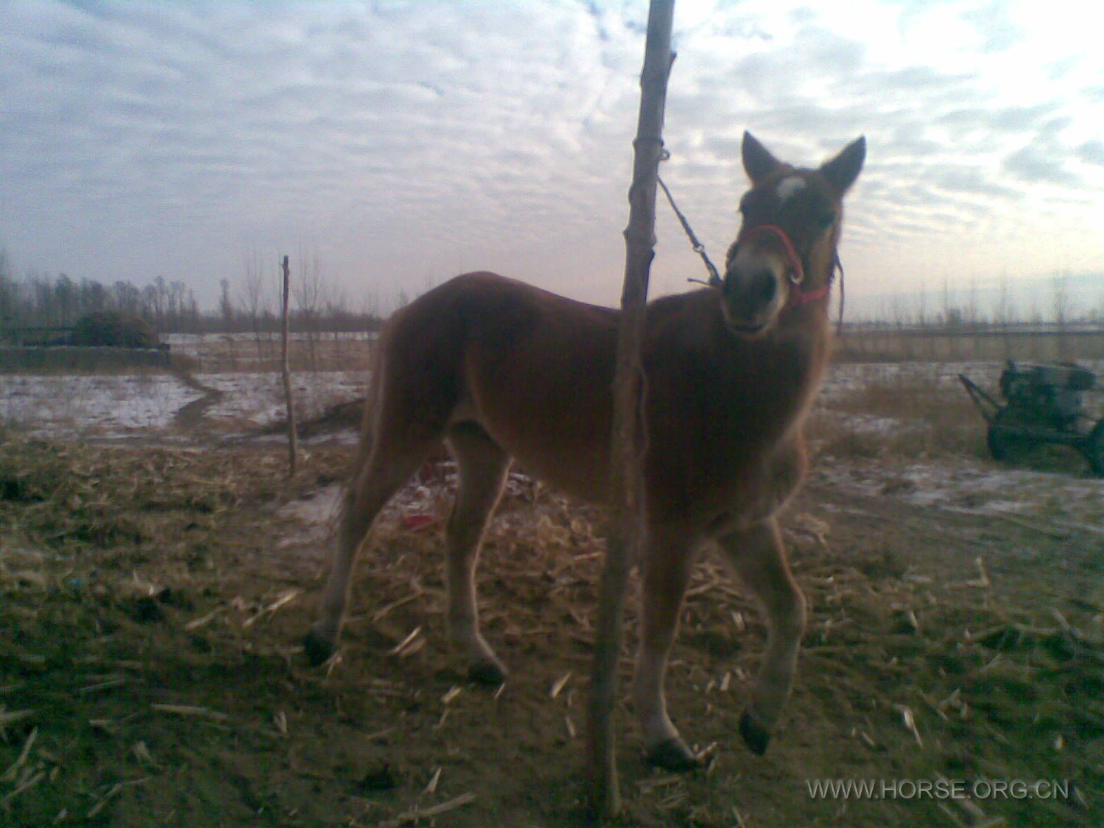 20120107(004).jpg