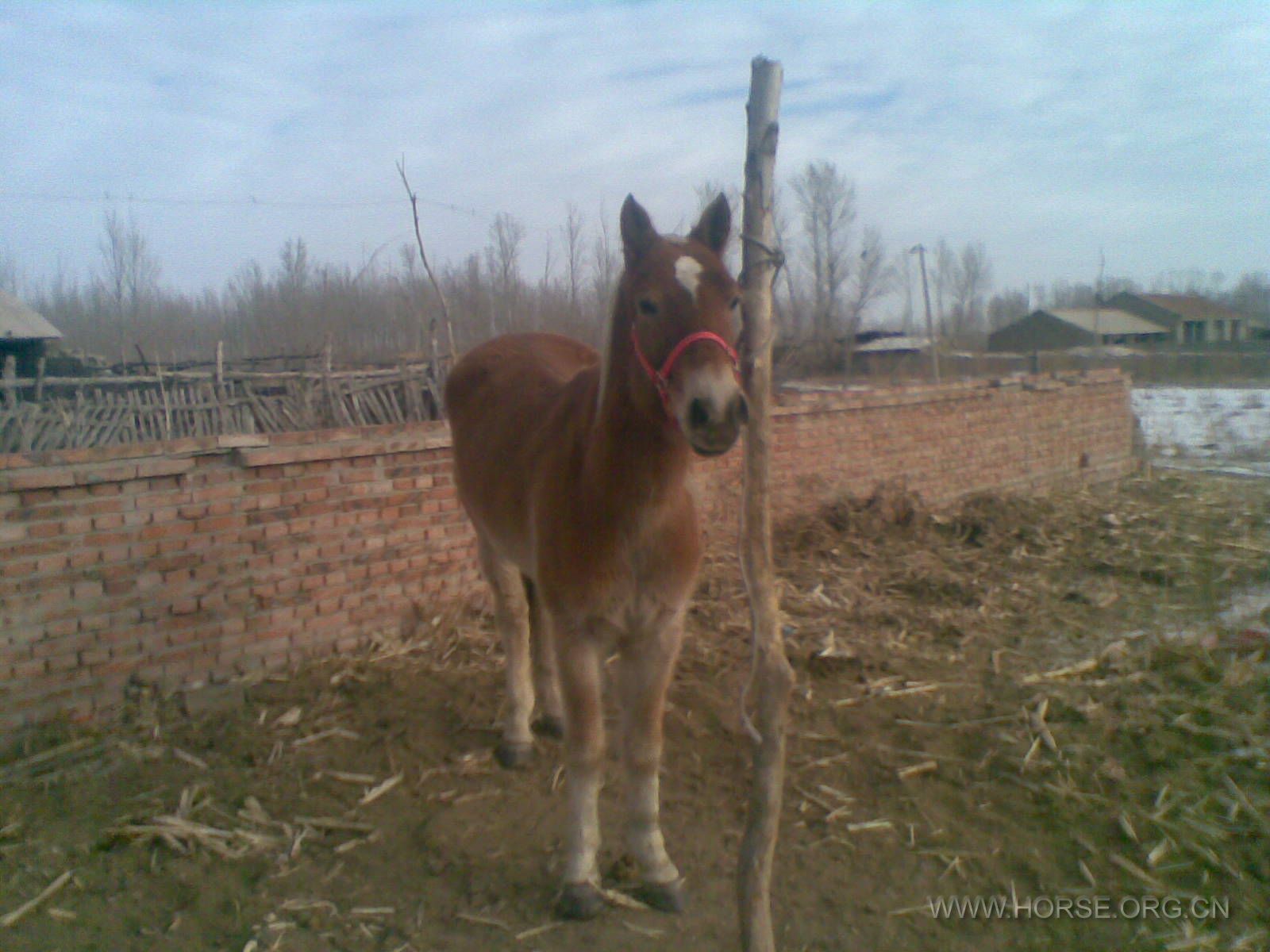 20120107(008).jpg