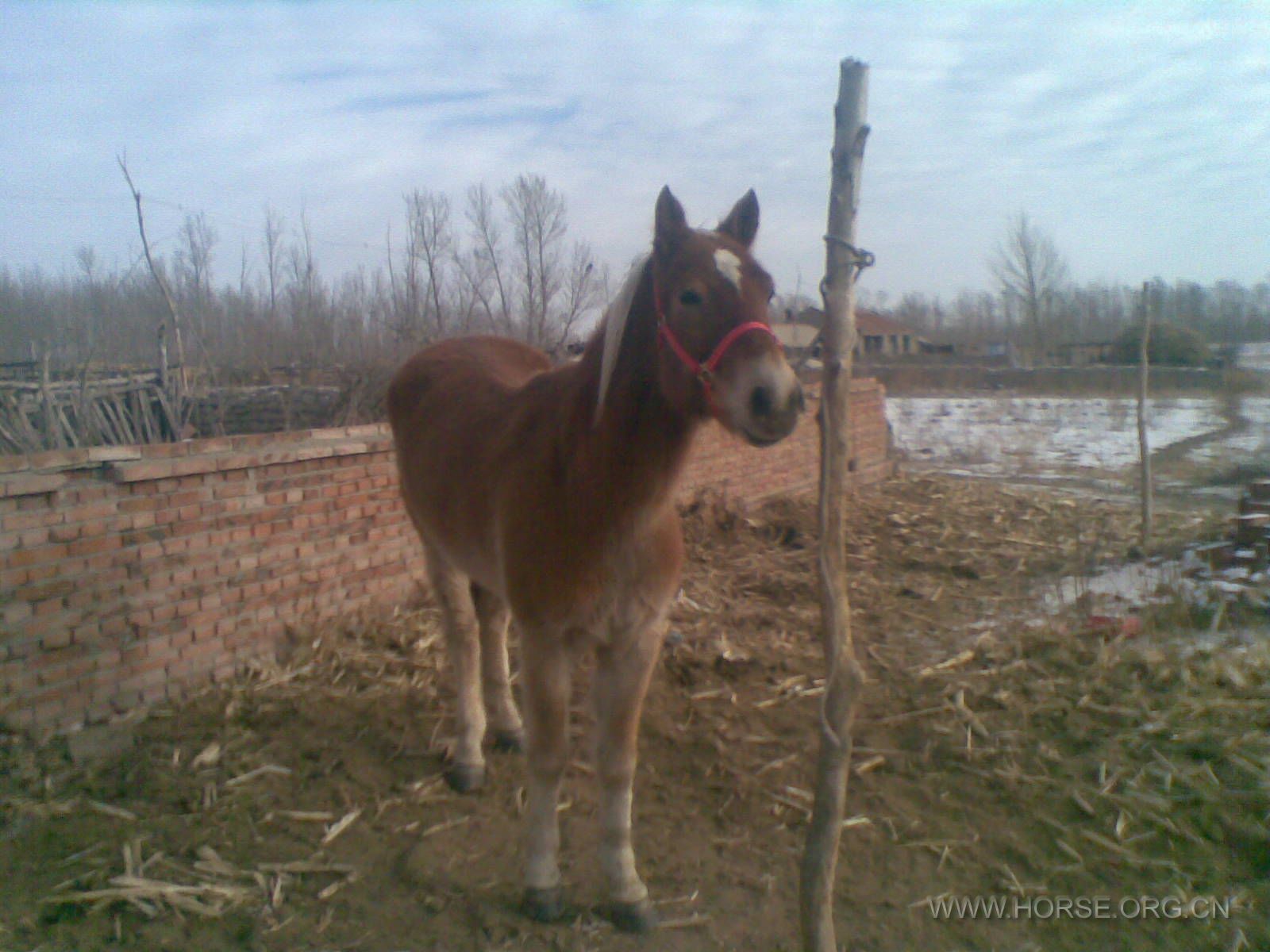 20120107(007).jpg