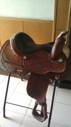 IMAG0238.jpg