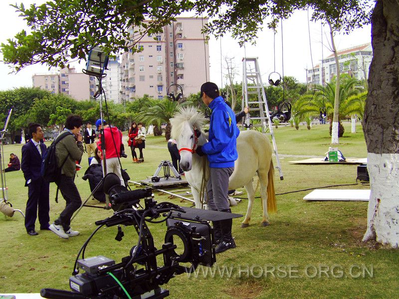 PICT0026.JPG