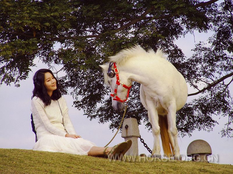 PICT0055.JPG