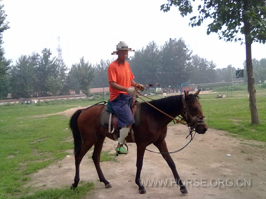 20100718041_meitu_1.jpg
