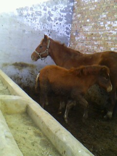 IMG0084A.jpg